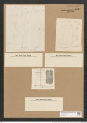 Amphora (Amphoropsis) decipiens Grun. (de-Toni-Nr.: Genus 31, Species 1379) Zeichnungen Sammlung Grunow Nr. 2610 (NHMW-BOT-W0369838)